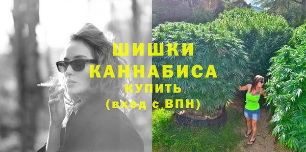 сатива Баксан